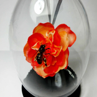 Natuur Historische Decoratie met 18k goud. Honingbij op bloem